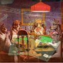 Blackjack for beginners How to count cards in blackjack for beginners
