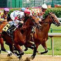 Horse racing and law