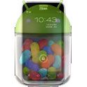 ZTE launched Jelly Bean running device