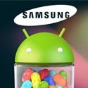 Jelly Bean for Samsung