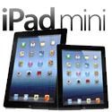 The iPad mini pictures