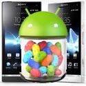 Jelly Bean for Xperia S